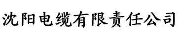 超碰在线公开电缆厂logo